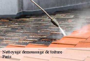 Nettoyage demoussage de toiture 75 Paris  AR renovation