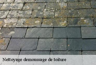 Nettoyage demoussage de toiture 75 Paris  AR renovation