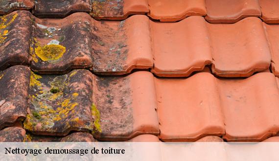 Nettoyage demoussage de toiture 75 Paris  AR renovation