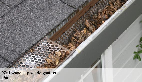 Nettoyage et pose de gouttière 75 Paris  AR renovation