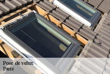 Pose de velux 75 Paris  AR renovation