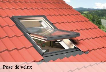 Pose de velux 75 Paris  AR renovation