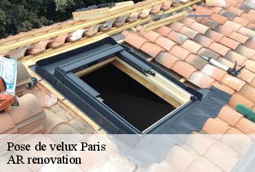 Pose de velux 75 Paris  AR renovation