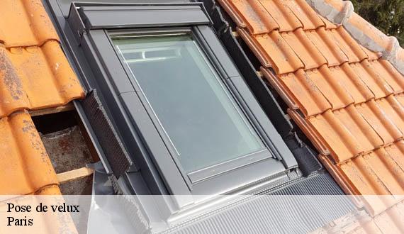 Pose de velux 75 Paris  AR renovation