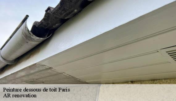 Peinture dessous de toit 75 Paris  AR renovation