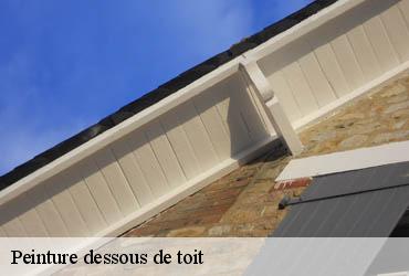 Peinture dessous de toit 75 Paris  AR renovation