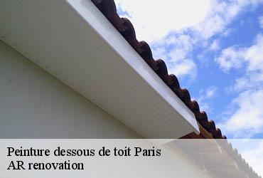 Peinture dessous de toit 75 Paris  AR renovation