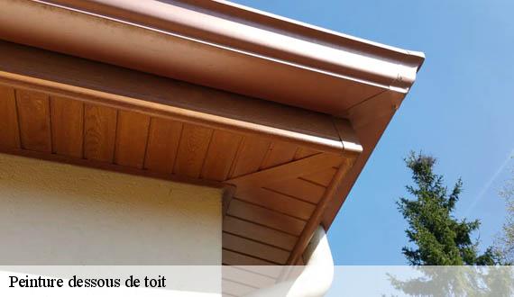 Peinture dessous de toit 75 Paris  AR renovation