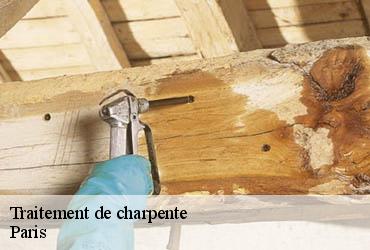 Traitement de charpente 75 Paris  AR renovation