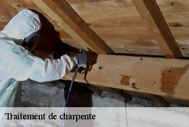 Traitement de charpente 75 Paris  AR renovation