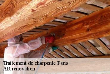 Traitement de charpente 75 Paris  AR renovation