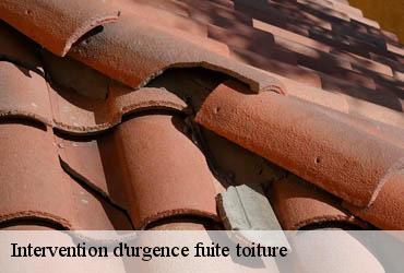 Intervention d'urgence fuite toiture  75 Paris  AR renovation