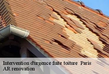 Intervention d'urgence fuite toiture  75 Paris  AR renovation