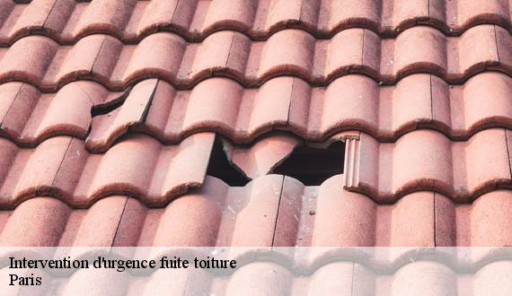 Intervention d'urgence fuite toiture  75 Paris  AR renovation