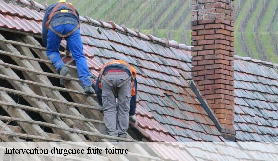 Intervention d'urgence fuite toiture  75 Paris  AR renovation