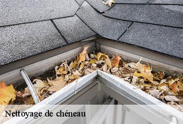 Nettoyage de chéneau 75 Paris  AR renovation