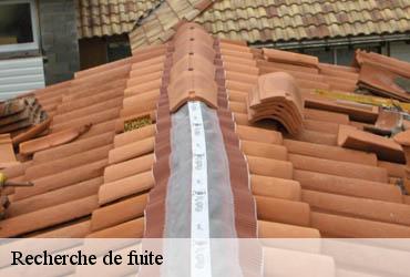 Recherche de fuite 75 Paris  AR renovation