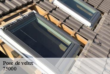 Pose de velux  paris-75000 AR renovation