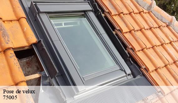 Pose de velux  paris-5-75005 AR renovation