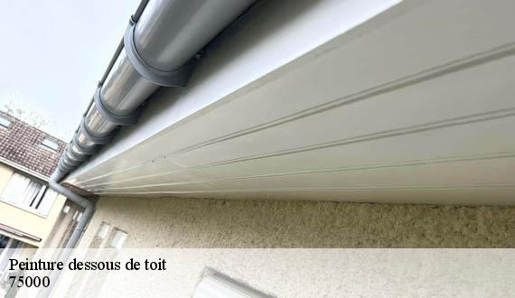 Peinture dessous de toit  paris-75000 AR renovation