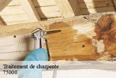 Traitement de charpente  paris-75000 AR renovation