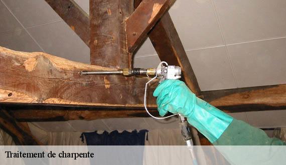 Traitement de charpente  paris-75000 AR renovation