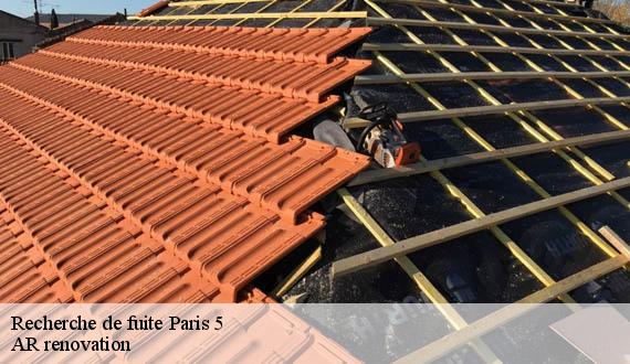 Recherche de fuite  paris-5-75005 AR renovation